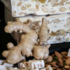 Nougat au gingembre fait avec du mail de la région et des amandes de Provence - Nougat artisanal et provençal